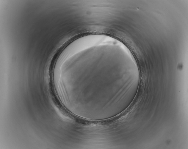 X0000097630674200803211810