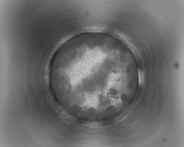 X0000097630675200803211810