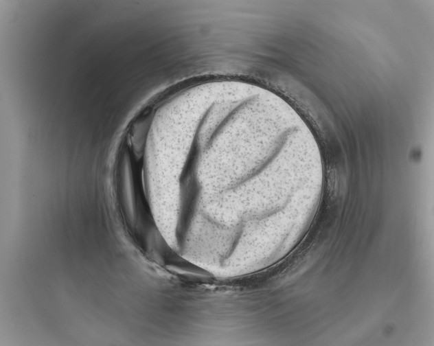 X0000097630676200803211810