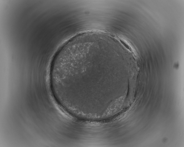 X0000097630677200803211810