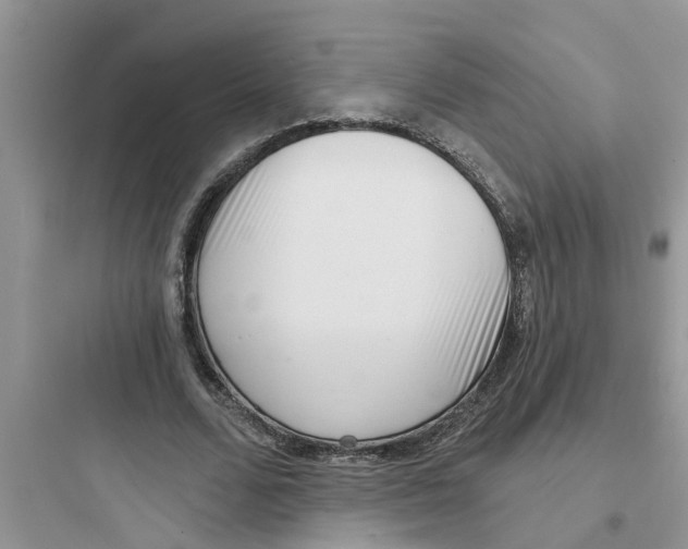 X0000097630680200803211810