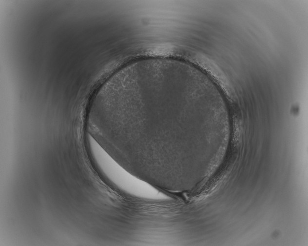 X0000097630681200803211810