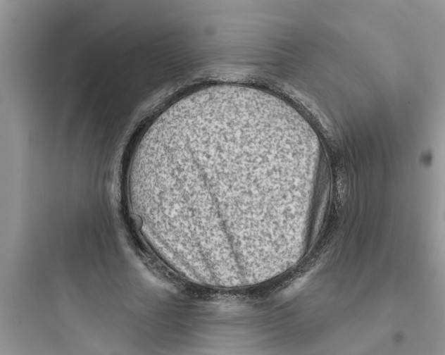 X0000097630682200803211810