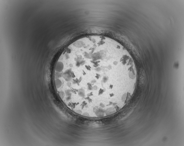 X0000097630683200803211810