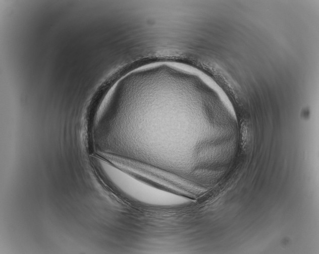 X0000097630684200803211810