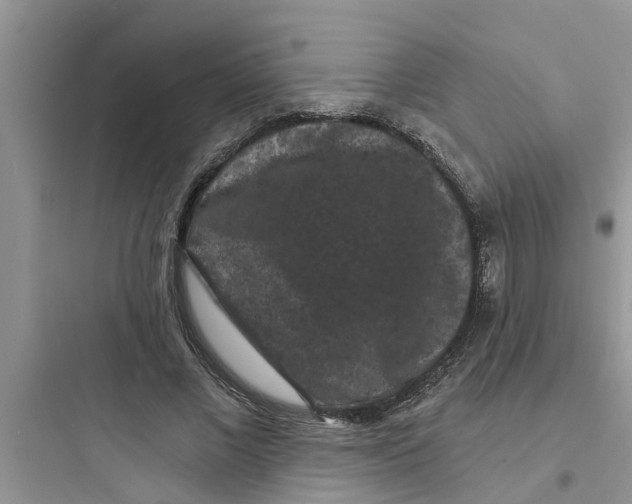 X0000097630685200803211810