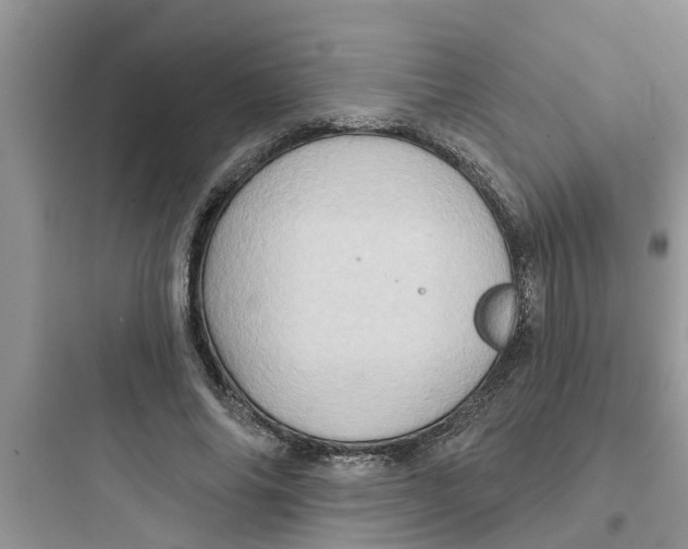 X0000097630686200803211810