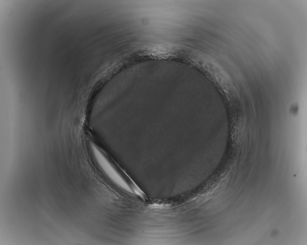 X0000097630689200803211810