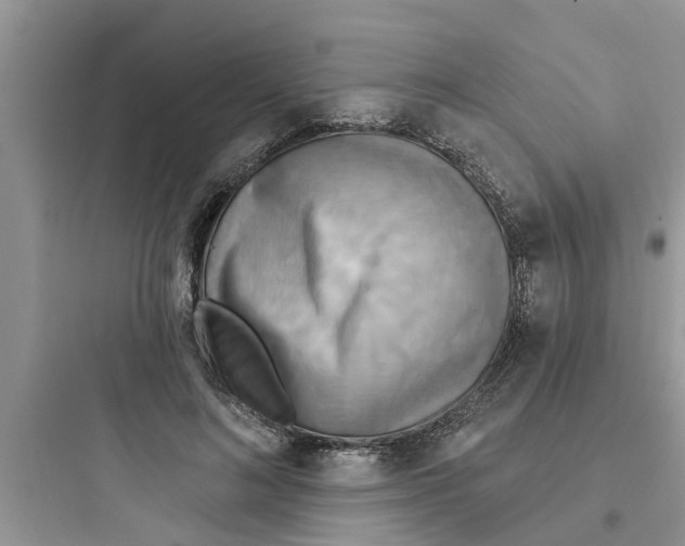 X0000097630692200803211810