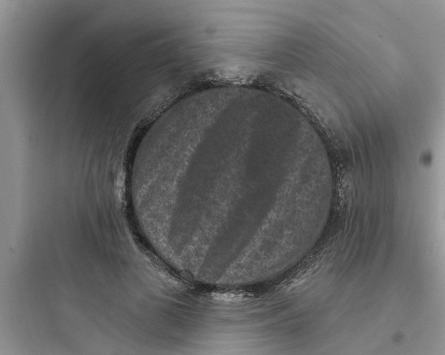 X0000097630693200803211810