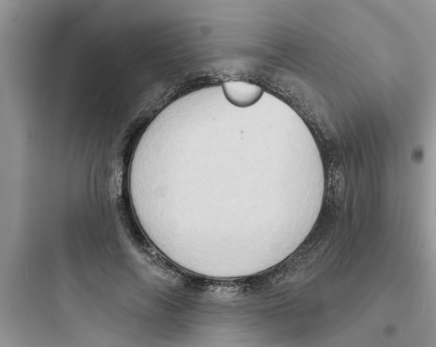 X0000097630694200803211810