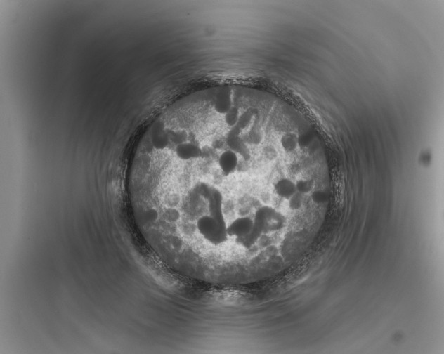 X0000097630695200803211810