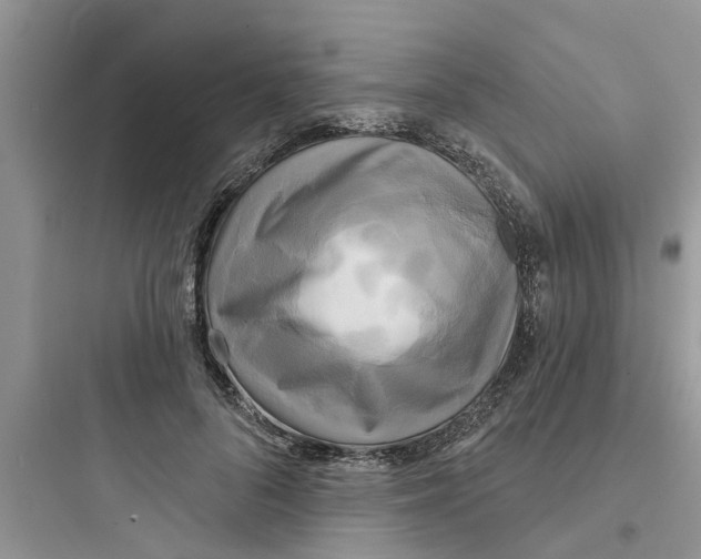 X0000097630696200803211810