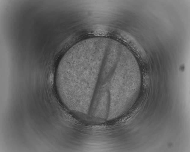 X0000097630697200803211810