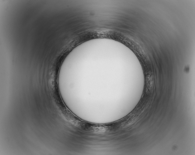 X0000097630698200803211810