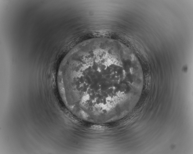 X0000097630699200803211810