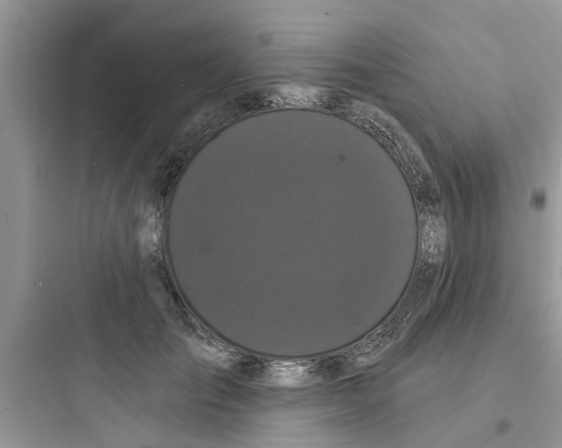 X0000097630701200803211810