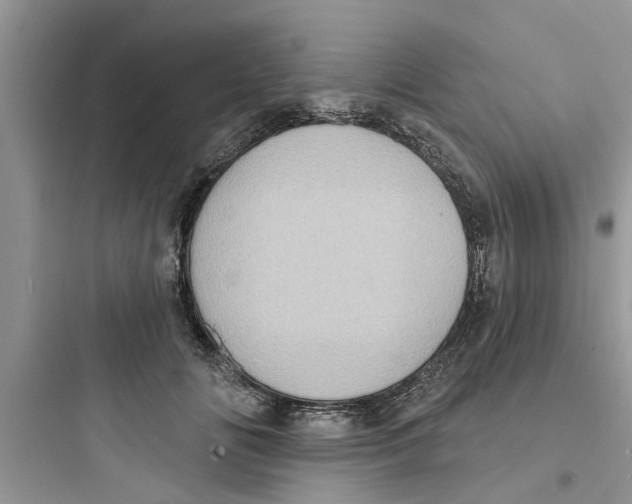 X0000097630702200803211810