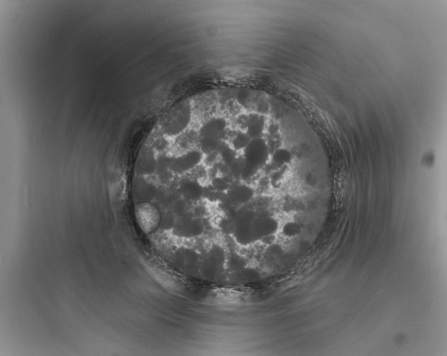 X0000097630703200803211810