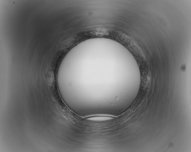 X0000097630704200803211810