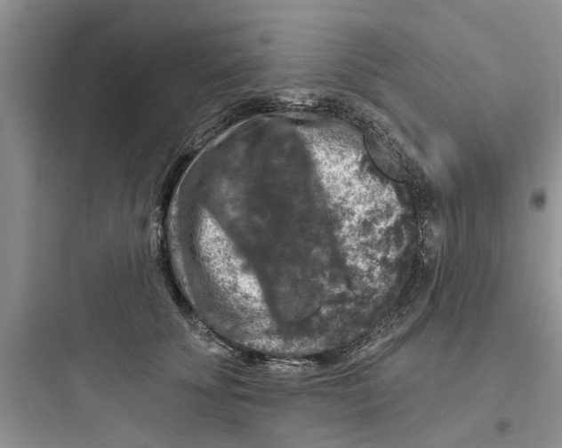 X0000097630707200803211810