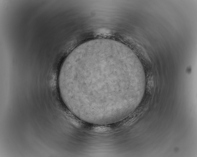 X0000097630708200803211809