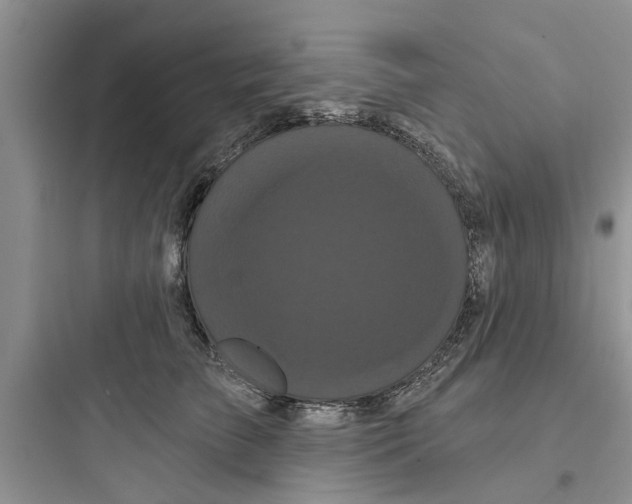 X0000097630709200803211809