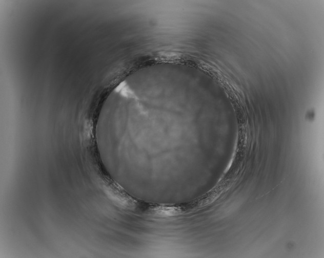 X0000097630711200803211809