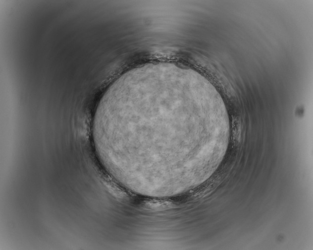 X0000097630712200803211809