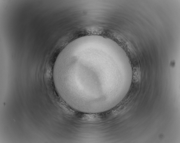 X0000097630713200803211809