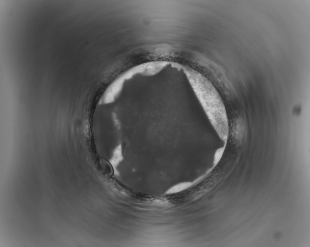 X0000097630715200803211809