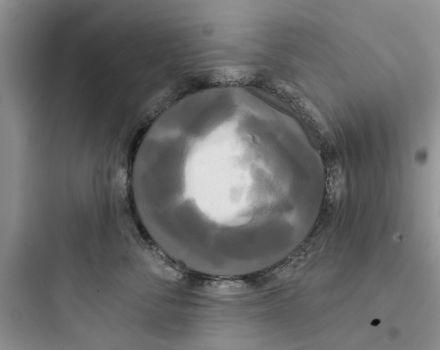 X0000097630716200803211809