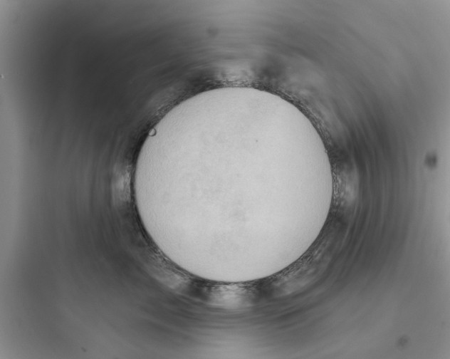 X0000097630717200803211809