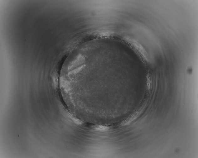 X0000097630718200803211809