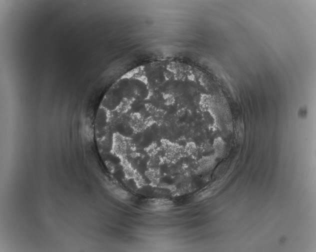 X0000097630719200803211809