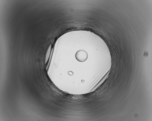 X0000097630720200803211809