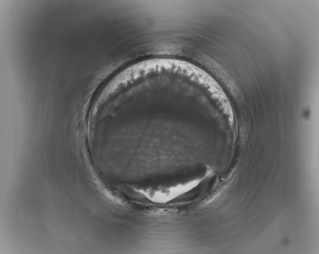 X0000097630721200803211809