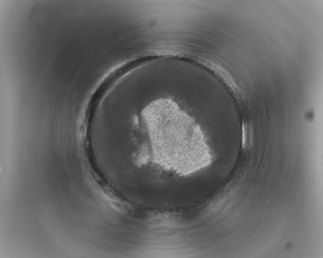 X0000097630723200803211809