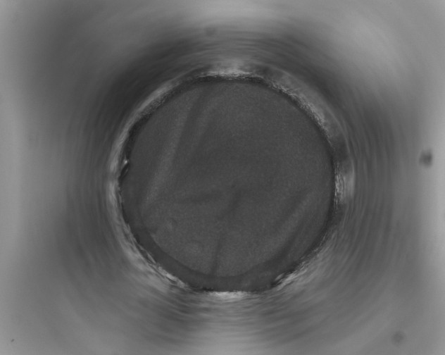 X0000097630724200803211809