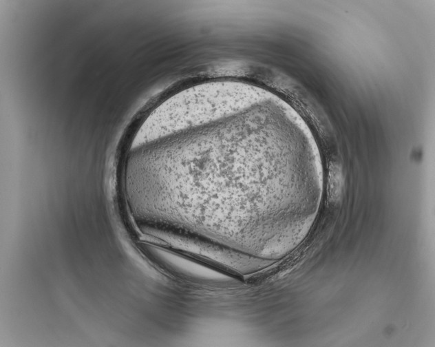 X0000097630726200803211809