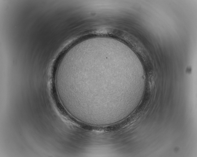 X0000097630728200803211809