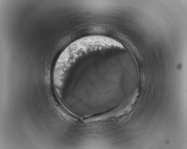 X0000097630729200803211809