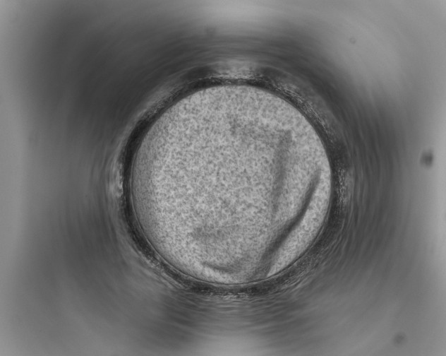 X0000097630731200803211809