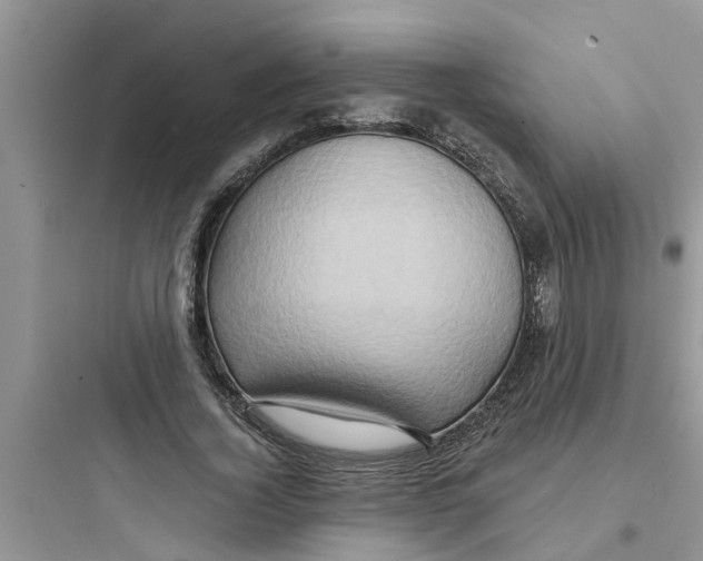 X0000097630732200803211809