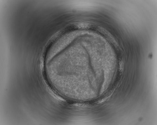 X0000097630733200803211809