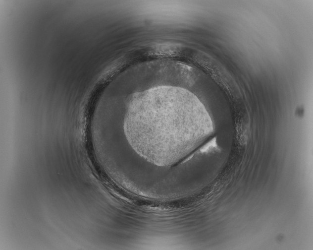 X0000097630735200803211809