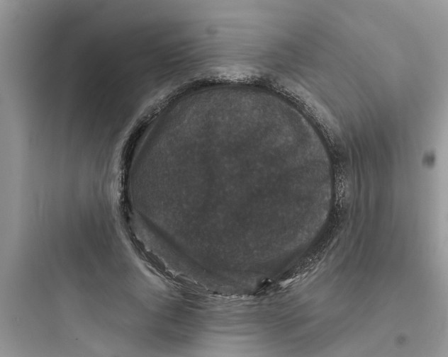 X0000097630736200803211809