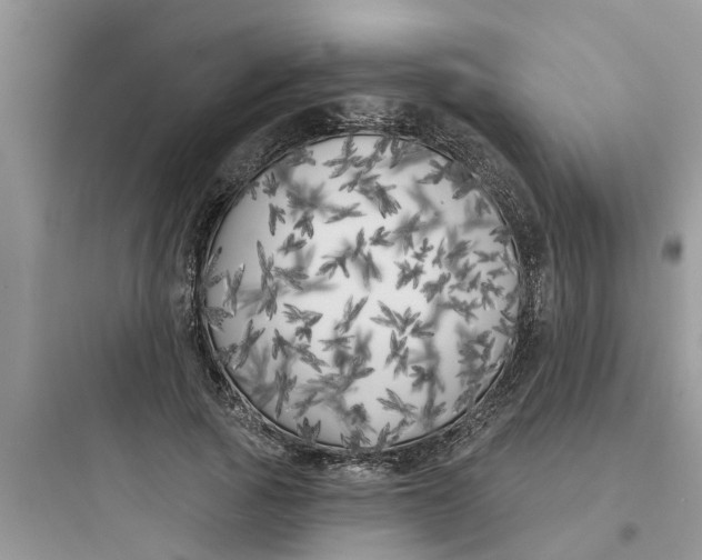 X0000097630737200803211809