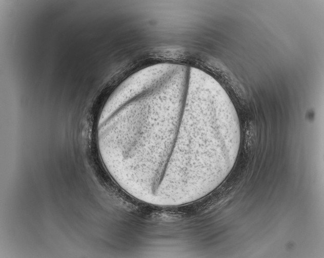 X0000097630739200803211809