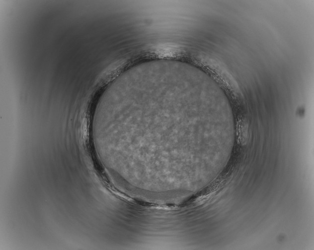 X0000097630740200803211809